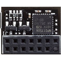 ASUS TPM-SPI (14-1 pins)