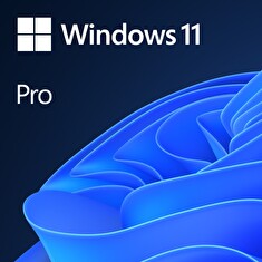 MS Win 11 Pro 64-bit German 1pk OEM DVD