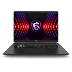 MSI Vector/16 HX A14VHG/i9-14900HX/16"/2560x1600/32GB/1TB SSD/RTX 4080/DOS/Gray/2R