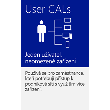 Microsoft Windows Server 2019, OEM/MS WinSrv 2019 Eng User Cal