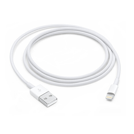 Lightning to USB Cable (1 m) / SK