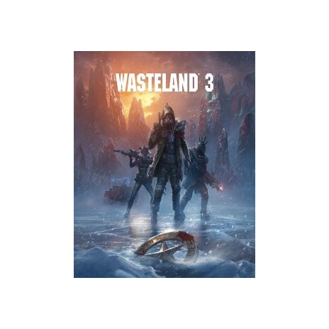 ESD Wasteland 3