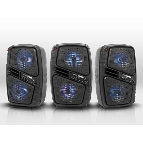 Reproduktor Bluetooth LTC PA500
