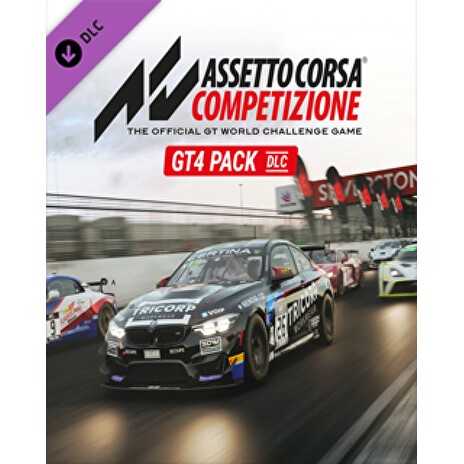 ESD Assetto Corsa Competizione GT4 Pack