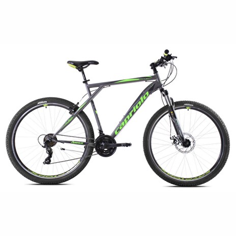 Horské jízdní kolo Capriolo ADRENALIN 29"/21HT silver-green