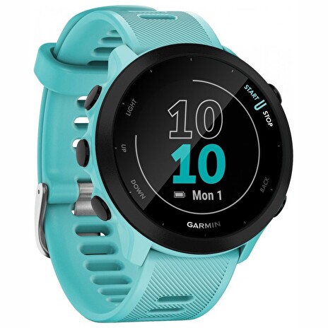 GARMIN běžecké GPS hodinky Forerunner 55 Blue