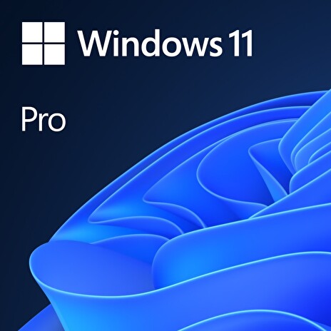 MS Win 11 Pro 64-bit Eng 1pk OEM DVD