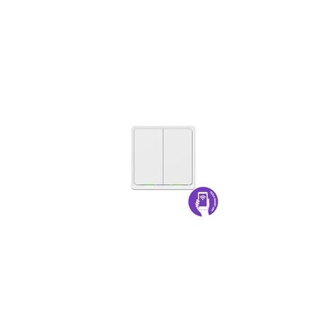 Tesla Smart Switch Dual Battery