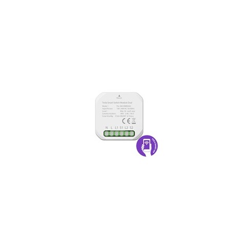 Tesla Smart Switch Module Dual