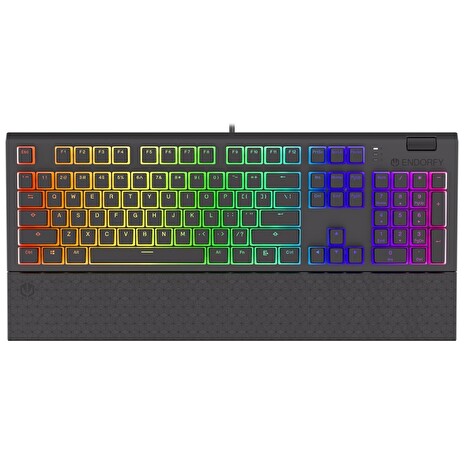 Endorfy herní klávesnice Omnis Pudd.Kailh RD RGB /USB/ red switch / drátová / mechanická / US layout / černá RGB