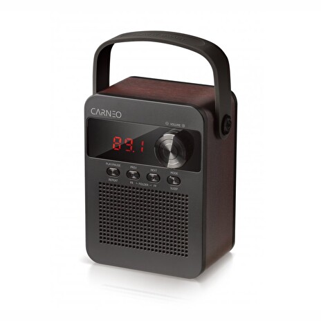 CARNEO F90 FM rádio, BT reproduktor, black/wood