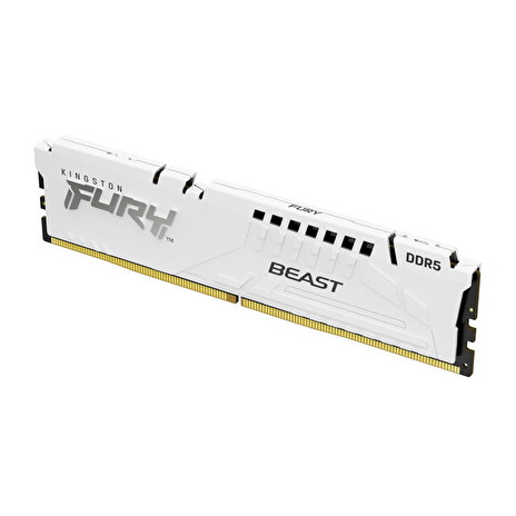 Kingston FURY Beast EXPO/DDR5/16GB/6000MHz/CL36/1x16GB/White