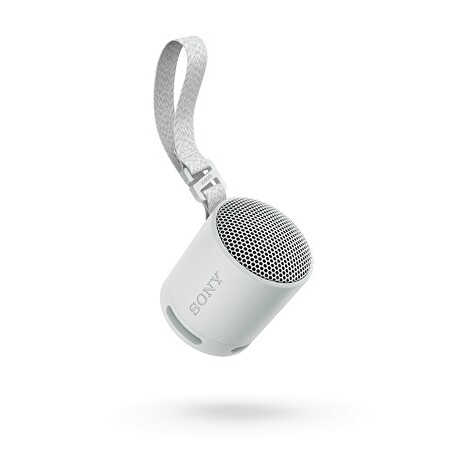 Sony SRS-XB100/Mono/Šedá