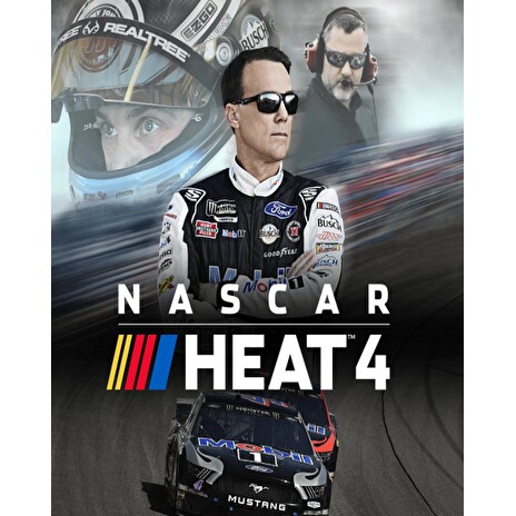 ESD NASCAR Heat 4
