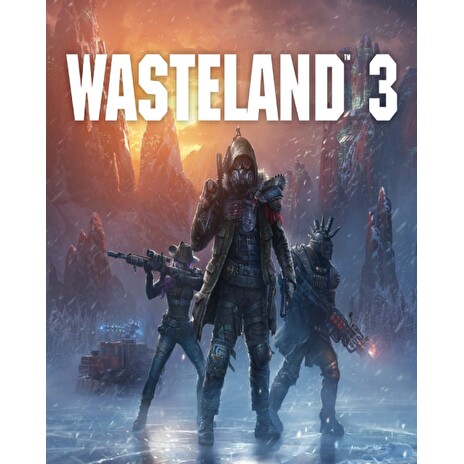 ESD Wasteland 3