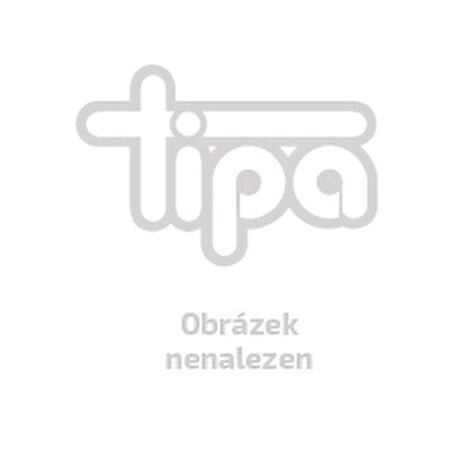 Popelnice G21 GA-120 tmavě šedá