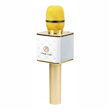 Karaoke set Technaxx BT-X31 - bluetooth karaoke mikrofon se stereo reproduktorem
