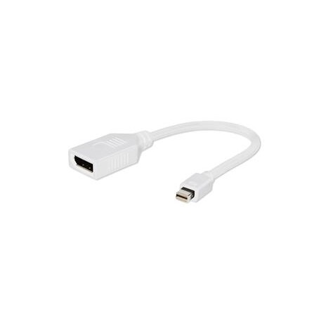 Gembird adaptér Displayport mini(M) -> Displayport(F), bílý, kabel 10cm