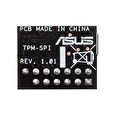 ASUS TPM-SPI (14-1 pins)