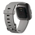 Fitbit Versa 2 (NFC) - Stone/Mist Grey Chytré hodinky