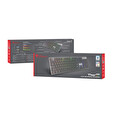Genesis herní mechanická klávesnice THOR 420/RGB/Content Slim Blue/Drátová USB/US layout/Šedá