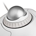 Kensington Orbit with Scroll Ring - Kulový ovládač - pravák a levák - optický - 2 tlačítka - kabelové - USB - bílá, stříbrná