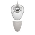 Kensington Orbit with Scroll Ring - Kulový ovládač - pravák a levák - optický - 2 tlačítka - kabelové - USB - bílá, stříbrná
