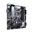 ASUS MB Sc LGA1200 PRIME Z490M-PLUS, Intel Z490, 4xDDR4, 1xDP, 1xHDMI, 1xDVI, mATX