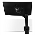 LG monitor IPS 27QN880 27" / 2560x1440 / 350cd/m2 / 5ms / DP / 2xHDMI / USB-C / repro