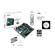ASUS MB Sc AM4 PRO B550M-C/CSM