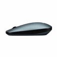 Acer slime mouse AMR020, Wireless RF2.4G, Retail pack, Zelená