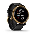 Garmin sportovní GPS hodinky Venu Gold/Black Band