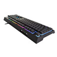Genesis herní hybridní klávesnice THOR 210/RGB/Drátová USB/CZ/SK layout/Černá