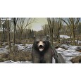 ESD Big Buck Hunter Arcade