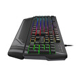 Genesis RHOD 350 RGB/Drátová USB/US-Layout/Černá