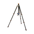 Stativ tripod 3 Legged Thing Punks Travis & AirHed Neo