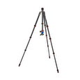 Stativ tripod 3 Legged Thing Punks Brian & AirHed Neo