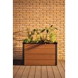 Květináč Keter Maple Green House s fóliovníkem Brown