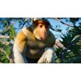 ESD Planet Zoo Southeast Asia Animal Pack