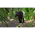ESD Planet Zoo Southeast Asia Animal Pack
