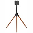 Nedis podlahový TV stojan/ 55 - 65"/ 30 kg/ Skandinávské Provedení/ Vhodné pro Samsung Q-LED/ Protiskluz. popruh/ černý