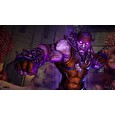 ESD Borderlands 3 Psycho Krieg and the Fantastic F
