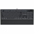 SPC Gear klávesnice GK650K Omnis Pudding Edition / mechanická / Kailh Brown / RGB / kompaktní / US layout / USB