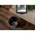 Leitz Ekologický odpadkový koš RECYCLE 15l, černý