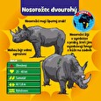 Hra GreenBoardGames Brainbox CZ - zvířata