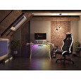 Genesis herní stůl Holm 320, RGB podsvícení, bílý, 120x60cm, 3xUSB 3.0, bezdrátová nabíječka