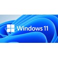 MS Win 11 Pro 64-bit Eng 1pk OEM DVD