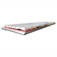 Cherry MX10.0 SILVER SWITCH / stříbrno/bílá