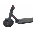 Elektrická koloběžka Capriolo E-4 BLDC 36V/350W černá