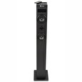 NGS SKYCHARM 2.1/ BT repro/ 80W/ USB/ LED displej/ FM rádio/ Černý